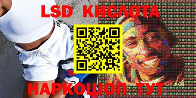 PSILOCYBIN Канаш