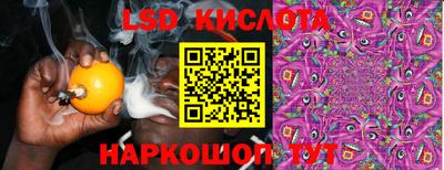 гидра Кандалакша