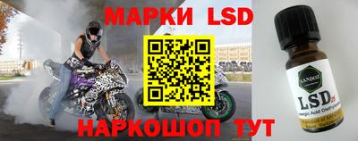 гидра Кандалакша