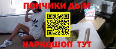 крисы Камышлов