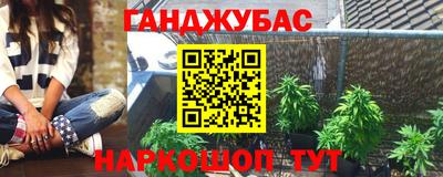 крисы Камышлов