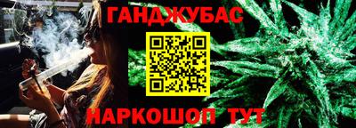 крисы Камышлов
