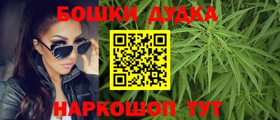 крисы Камышлов