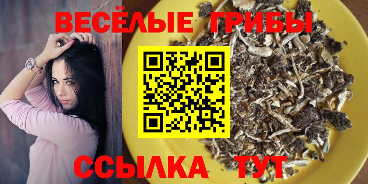 Галлюциногенные грибы Psilocybine cubensis Ленинск-Кузнецкий