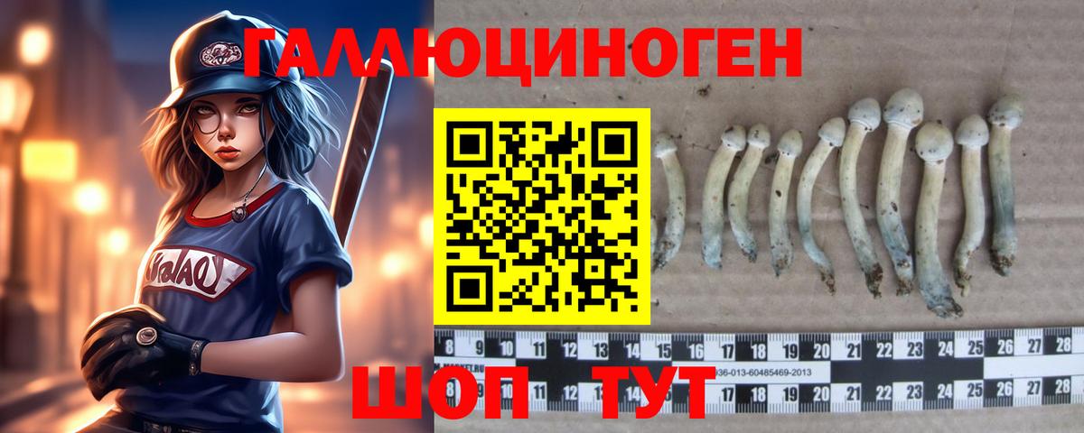 Псилоцибиновые грибы Cubensis  Вход с VPN  Псилоцибиновые грибы мицелий  Ленинск-Кузнецкий 