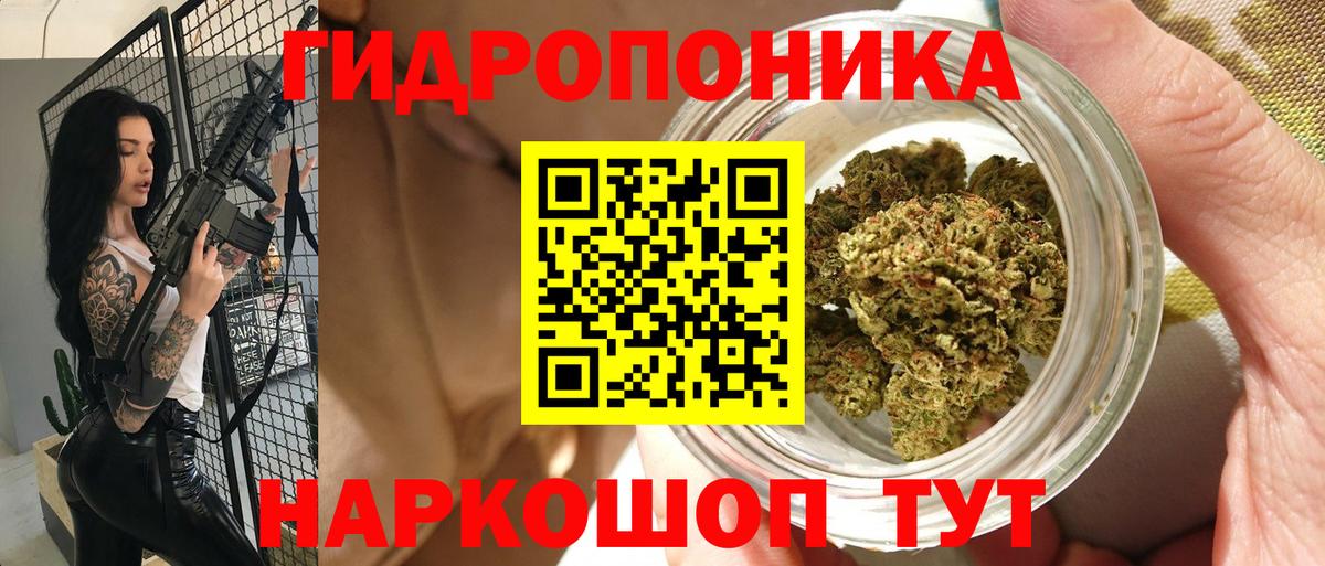 Марихуана конопля Ленинск-Кузнецкий